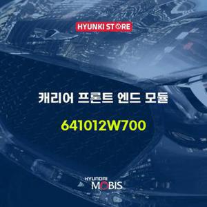 현대모비스캐리어 프론트 엔드 모듈 (641012W700)