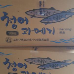 포항 구룡포 청어과메기 1차손질 20미