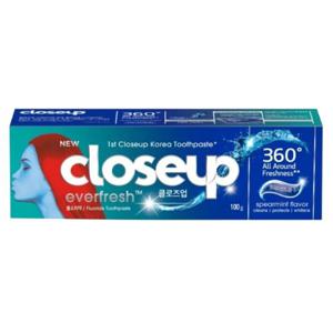 CLOSE-UP 클로즈업 에버프레쉬 스피어민트 치약 100g - 6개 묶음상품