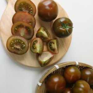 [신선함 보장] 화천 흑토마토 흑토마토 2kg