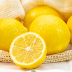 신선한 정품팬시 레몬 20, 30입(중과120g 140과)