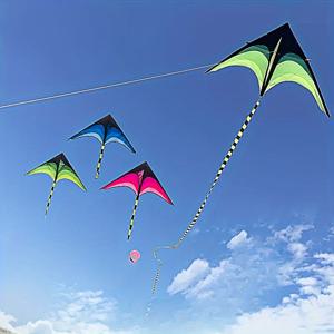 야외 비치 공원 초원을 위한 그라데이션 색상의 큰 긴 꼬리의 삼각형 비행 연