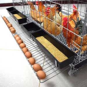 닭케이지 이동 조립식 병아리집 육추기 닭모이 닭장 만들기