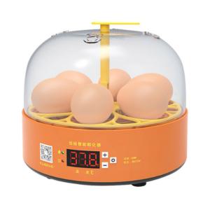 가정용 6구 저소음 병아리부화기 1p 온도조절 자동회전 조류 달걀 계란 부화기계