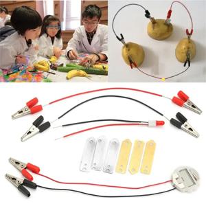 어린이 바이오 에너지 과학 키트, 감자 과일 공급, 전기 실험, 어린이 학생 학습