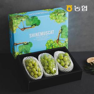 [자연맛남] 농협선별 프리미엄 샤인머스켓 선물세트 2kg (2-3수)