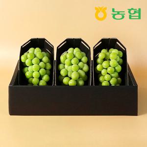 아삭달콤 샤인머스켓 선물세트 명품1호 (2kg/3입)