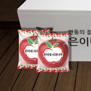 애플데이 은이네사과나무 정품 세척사과 5-10kg