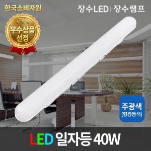 LED 일자등40W 주광색 LED트윈등 형광등