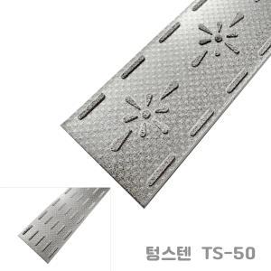 [TS-50/평자]  텅스텐 스텐레스 논슬립 (밟는면50mm) / 경사로용 / 평지용 /  반영구 제품