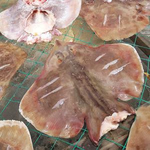 반건조 간재미 1kg (4-6미) 자연산 갱개미