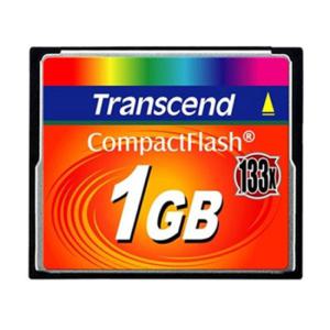 CF 133배속 CompactFlash 1GB