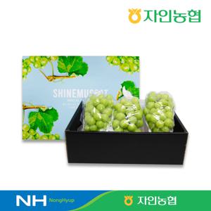 경산자인농협 고당도 샤인머스캣 선물세트 2kg(3입) 농협선별 / GAP인증