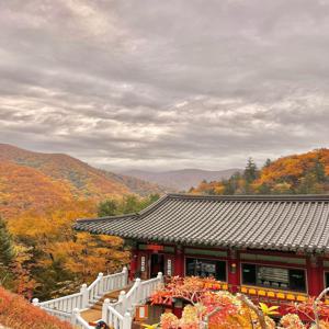 [오대산] 국가지정 명승 제1호 소금강산 계곡과 노인봉