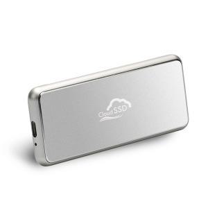 한창코퍼레이션 CLOUD Portable SSD Pro 250GB (Silver)