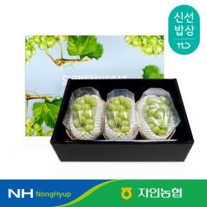 [경산자인농협] 샤인머스켓 선물세트 2kg 3송이 GAP인증 농협선별