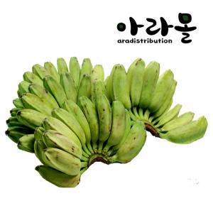 필리핀 그린 사바바나나 (Green Saba Banana) 3kg