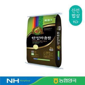 [농협양곡] 안성마춤 고시히카리쌀 10kg / 특등급 / 2024년산 햅쌀