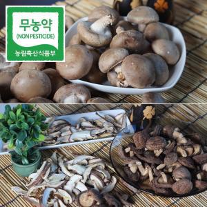 청정금산 친환경 표고버섯 1kg, 건표고 버섯 100g