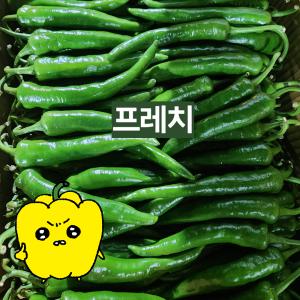 프레치 국내산 아삭 풋고추 1kg