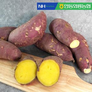 [안동와룡농협] 믿고 먹는 꿀고구마 (중상품) 10kg