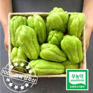 무농약인증 아삭아삭 경북 상주 햇 차요테 특품 3kg