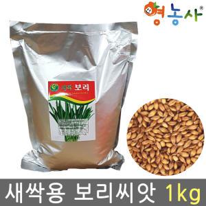 새싹 보리씨앗 1kg/보리싹 재배 종자