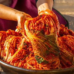 맛있는 괴산배추 배추김치 5kg 전라도김치 김장김치