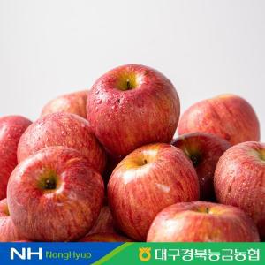 [대구경북능금농협]청송 가정용 부사 사과 3kg 12-15과