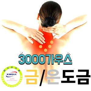 금/은도금 자석파스 오행자금94종 3000가우스 근육통완화