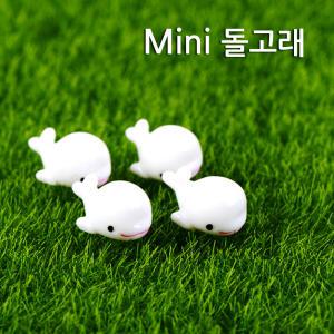 Mini 돌고래인형(10개)