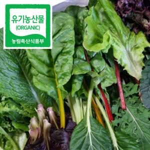 [유기농 쌈채소] 당일수확 모듬 쌈채소 1kg 2kg 상추 케일  6~8종 모듬구성