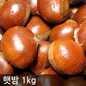 2024 햇밤(대) 1kg 깐밤가능 밤 알밤 꿀밤 하양마트