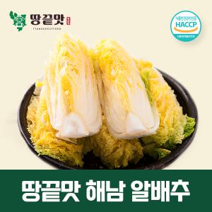 땅끝맛 해남 쌈배추 알배추 3통 아삭아삭 알베기배추