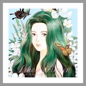 아이린 / Like A Flower 미니앨범 1집 (Mirror Ver)(CD아님/L700001497)(예약)11/27발송