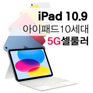 Apple 아이패드 10세대 10.9인치 셀룰러 5G