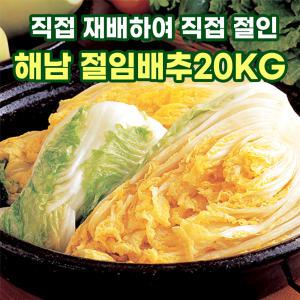 해남 절임배추 직접절인배추 20kg 국내산 100% 천일염 사용 김장 김치 날짜지정 예약