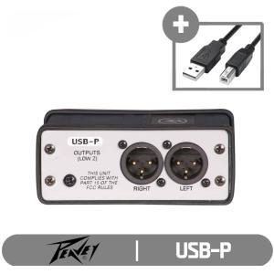 Peavey 다이렉트 DI 박스 USB-P DIBOX 오디오인터페이스 컴퓨터용 DIBOX (수입정품)