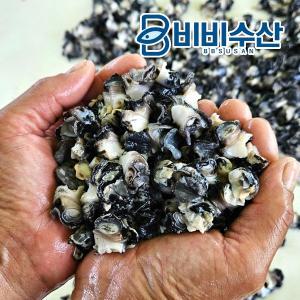 국내산 황토 논 우렁이살 1kg (실중량700g)