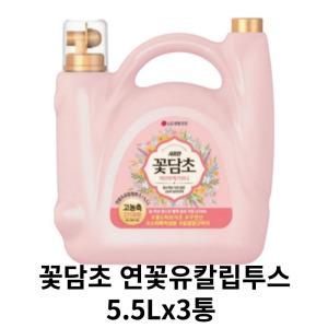 꽃담초 연꽃유칼립투스 5.5Lx3통