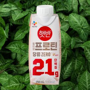 [모모네밥상] CJ 얼티브 프로틴 쌀밥맛 250ml 6개/12개/18개