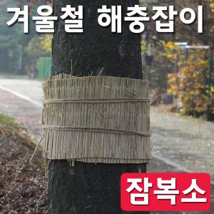 [조이가든]짚-잠복소30cm*20M_바람막이/섬피/거적/겨울철가로수보호/수목동해방지/지피식물보온/제설제