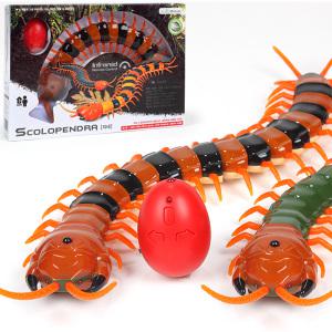 지네 Scolopendra RC카 / 무선자동차 로봇 곤충 학습