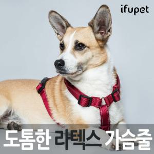 이퓨펫 강아지 애견 가슴줄 하네스 대형견 중형견