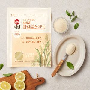 백설 자일로스 갈색 설탕 1KG x 3개