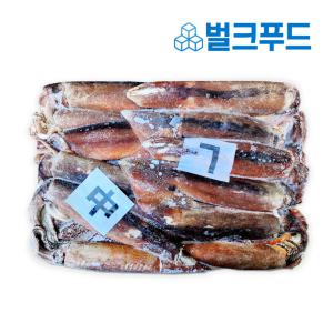 업소용 선동오징어 M사이즈 10kg 냉동 중국산 포크