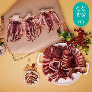 [품질보장] 촉촉한 반건조 오징어 파품 파지 500g