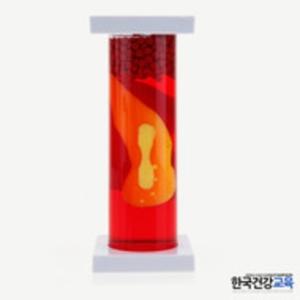 흡연자의동맥모형-금연흡연예방교육자료ㅣ흡연예방체험부스ㅣ보건교육용품