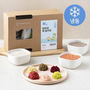 맘마유 퀵 밀키트 묽은죽 E플랜 480g (냉동), 1세트, 혼합맛(한우/고구마/가지/닭가슴살/비트/흰살생선/새송이)