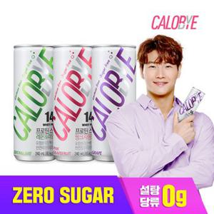 프로틴 스파클링 단백질 보충제 무설탕 탄산음료 240ml x 24개입